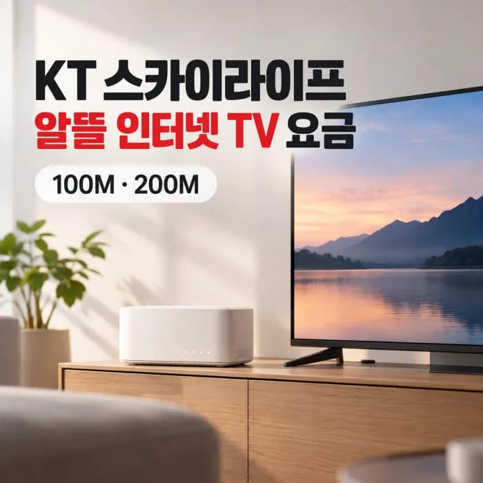 KT 스카이라이프 알뜰 인터넷 TV 요금 100M 200M 비교