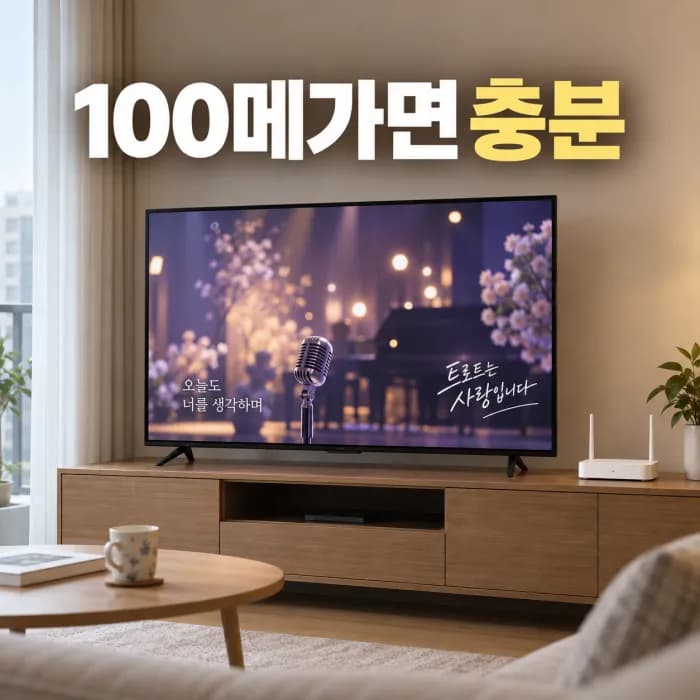 부모님 인터넷 100메가면 충분할까 IPTV와 영상통화 기준