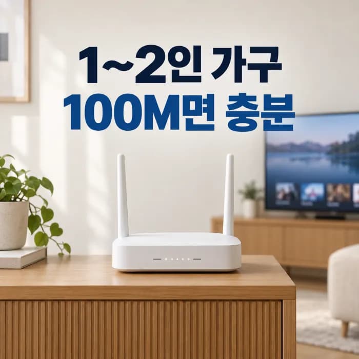 1~2인 가구 인터넷 속도, 신혼부부와 자취 가구는 100메면 충분할까